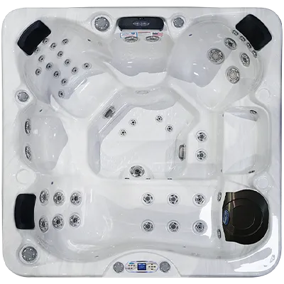 Avalon EC-849L hot tubs for sale in Waterloo