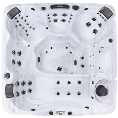 Avalon EC-867L hot tubs for sale in Waterloo